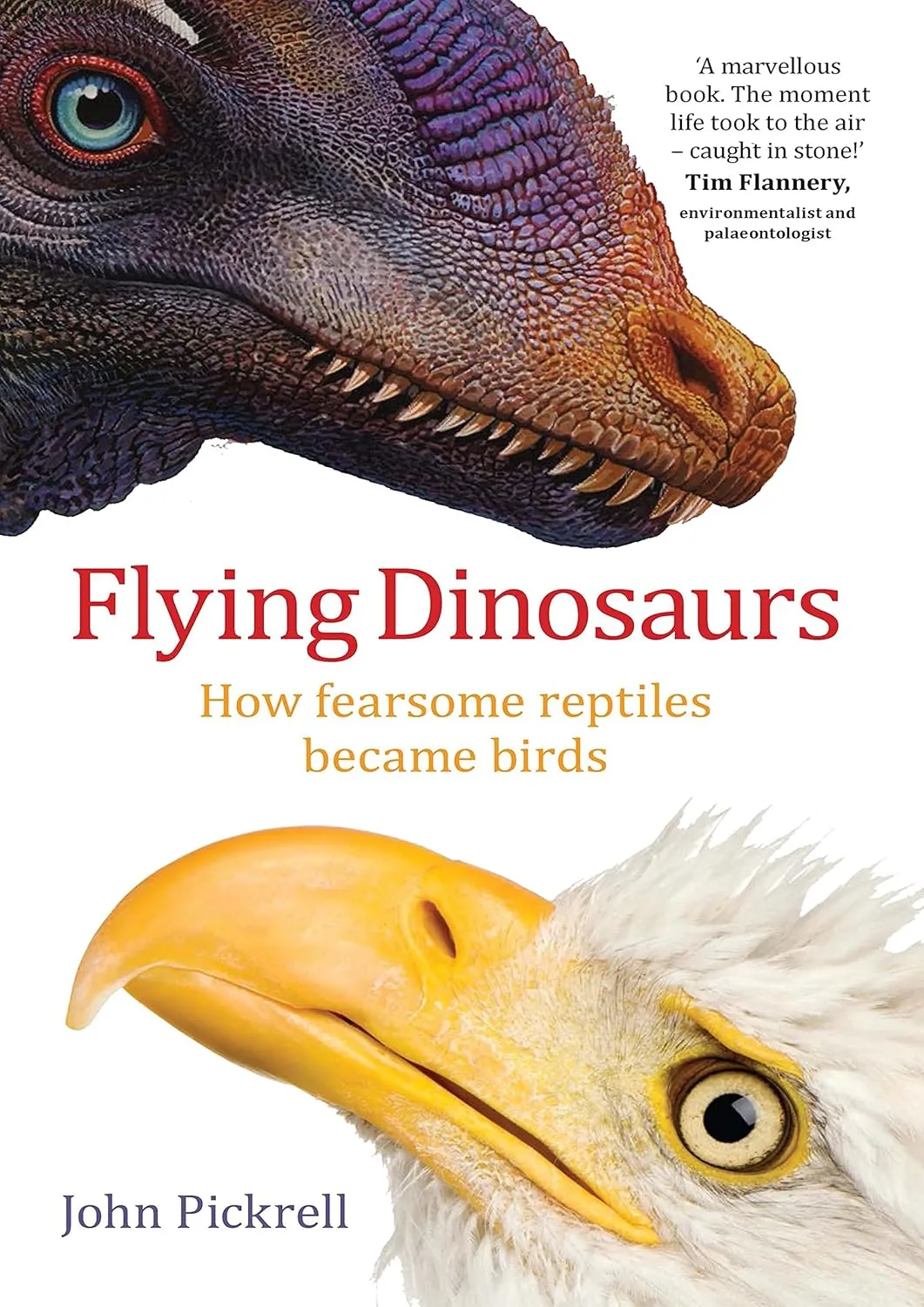 Flying Dinosaurs: How Fearsome Reptiles Became Birds Paperback  October 1, 2014