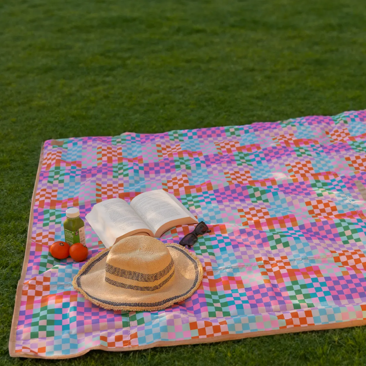 NEW Compact Carry Picnic Blankets