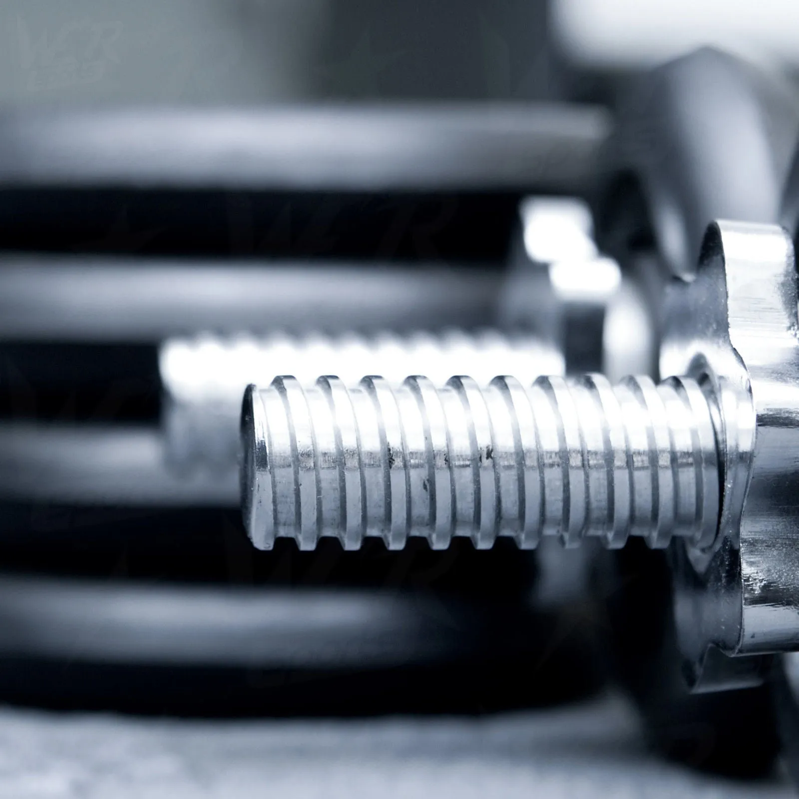 VinylXBell Dumbbell Set